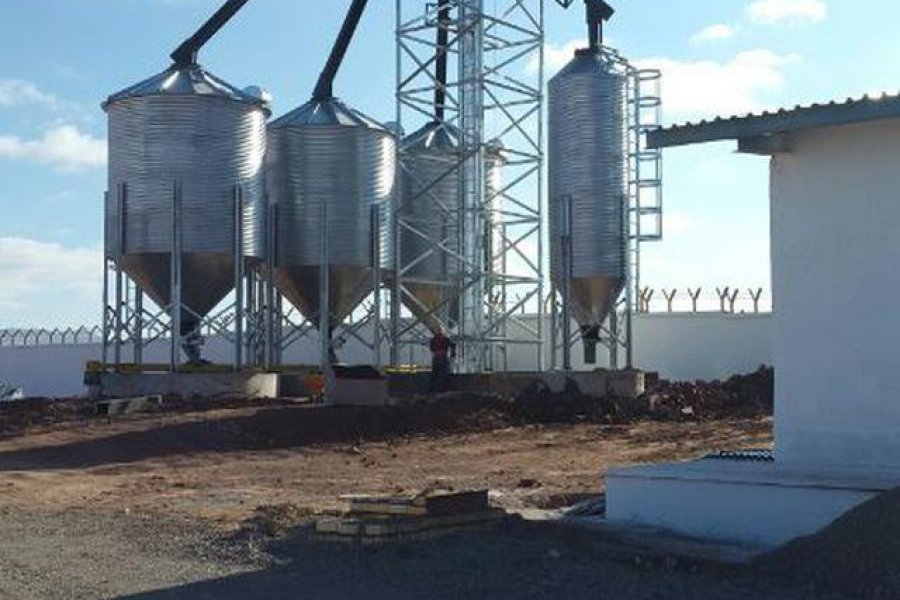 Кормовые Силосы