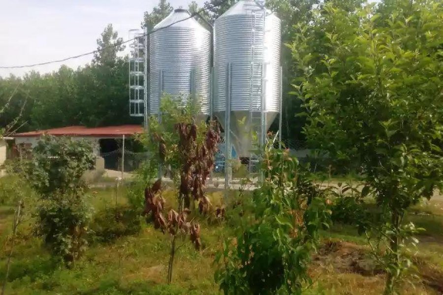 Кормовые Силосы