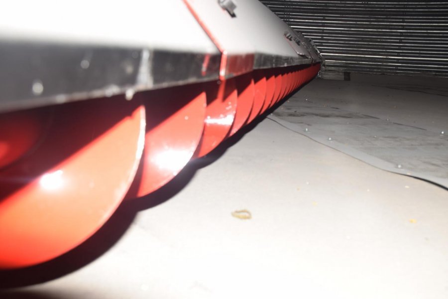 قاشطة قاع الصومعة